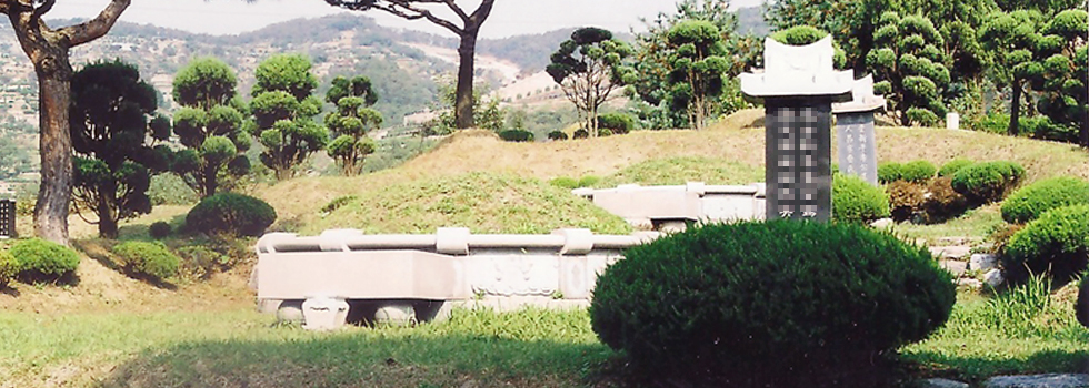 묘지조성.jpg